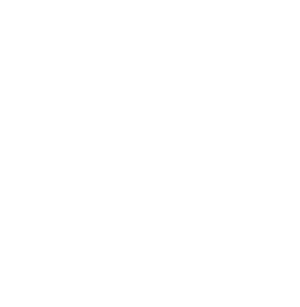 PLai logo